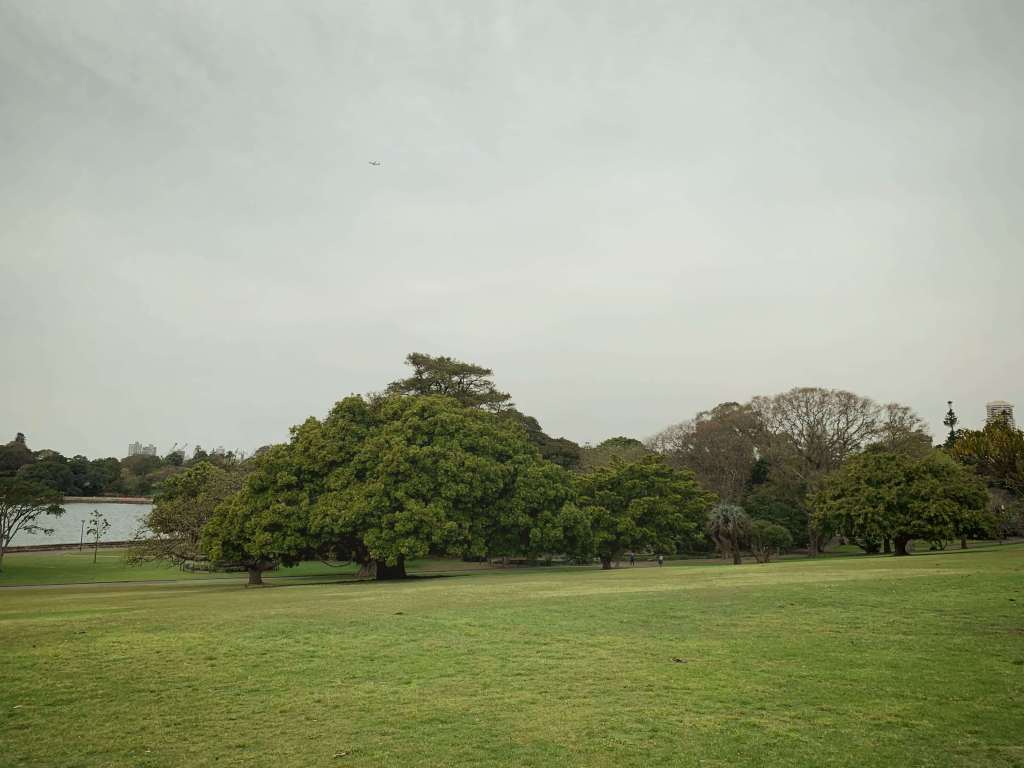 Royal Botanical Gardens, Sydney