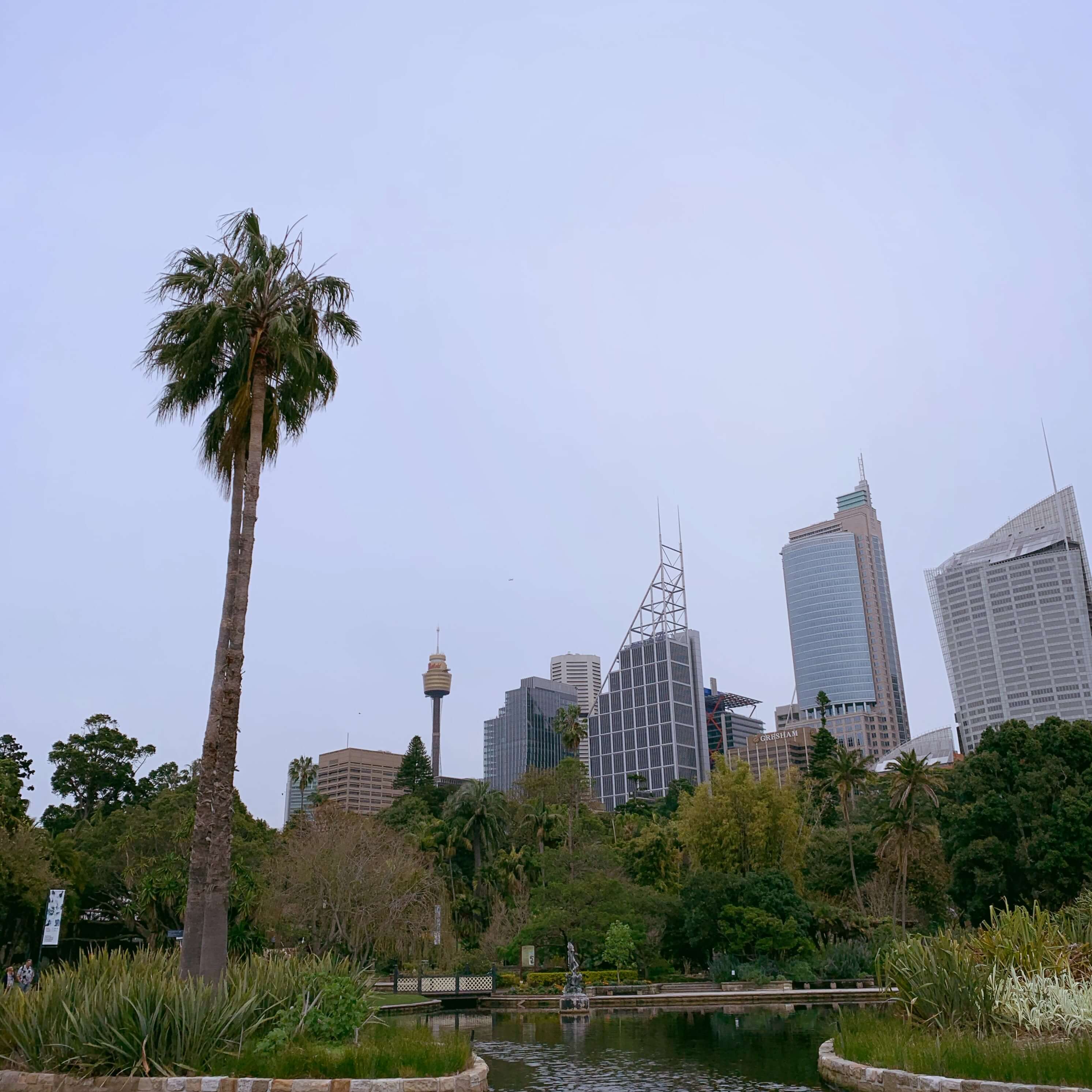 Royal Botanical Gardens, Sydney