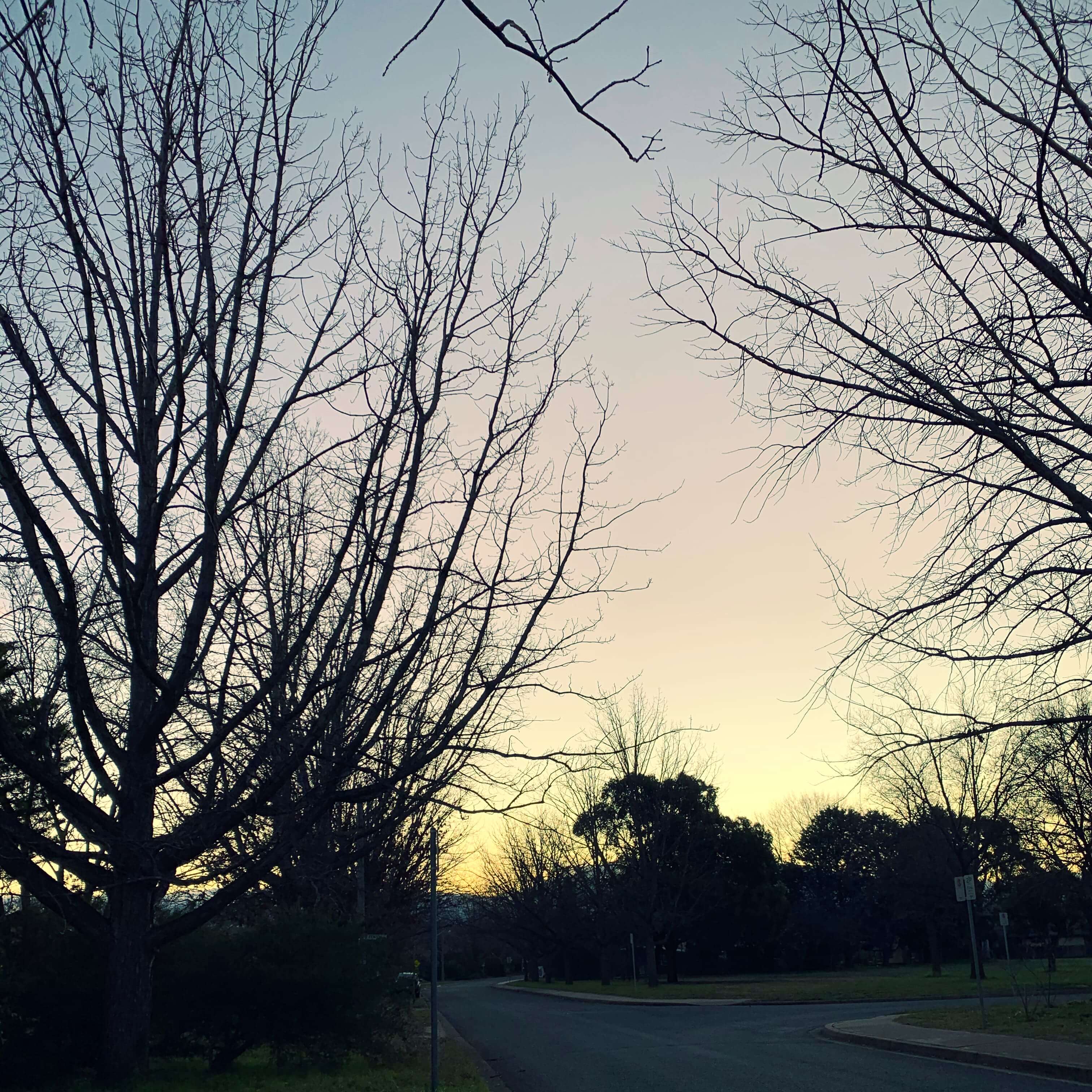 Winter sunset in Canberra