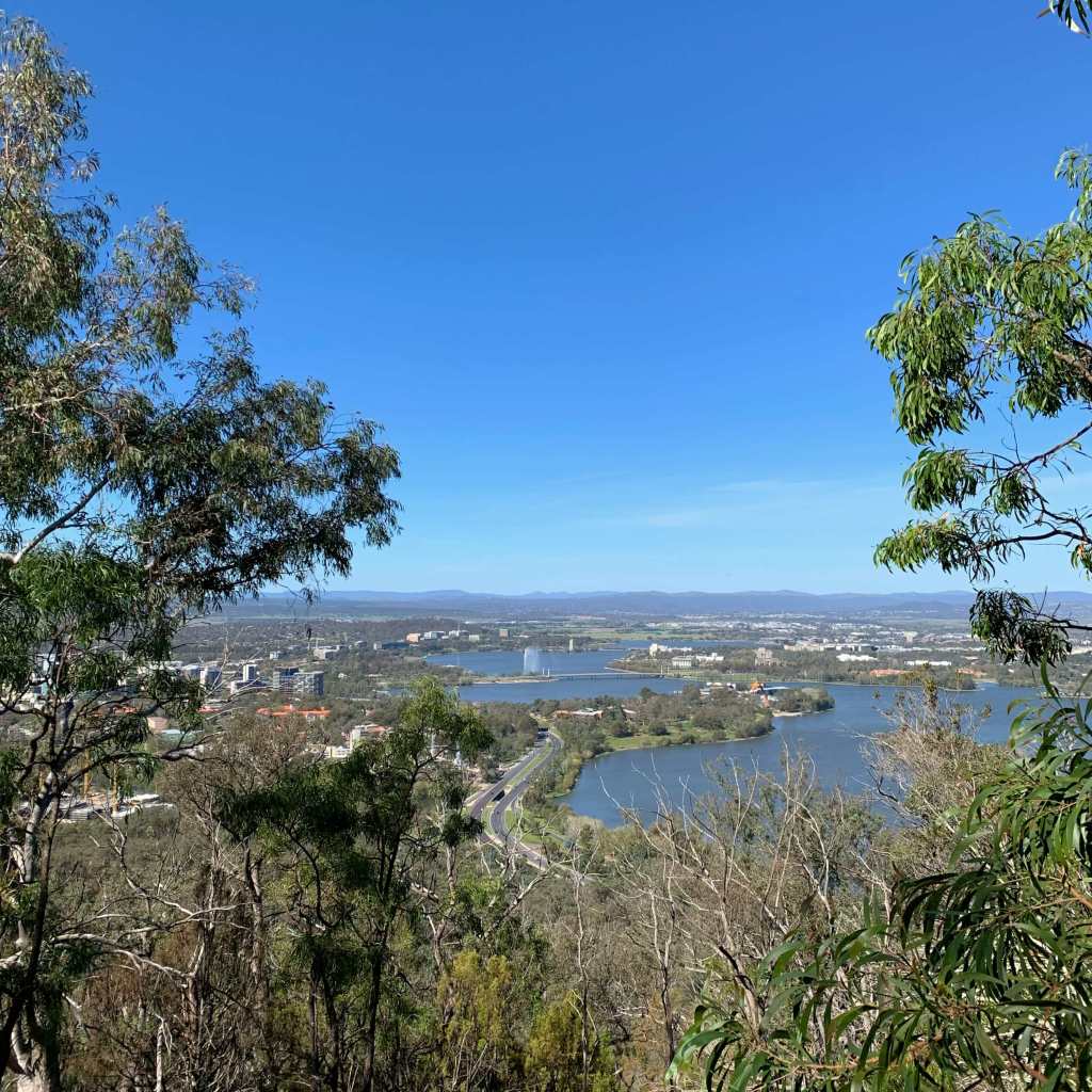 Canberra city, as seen from Mount Ainslie