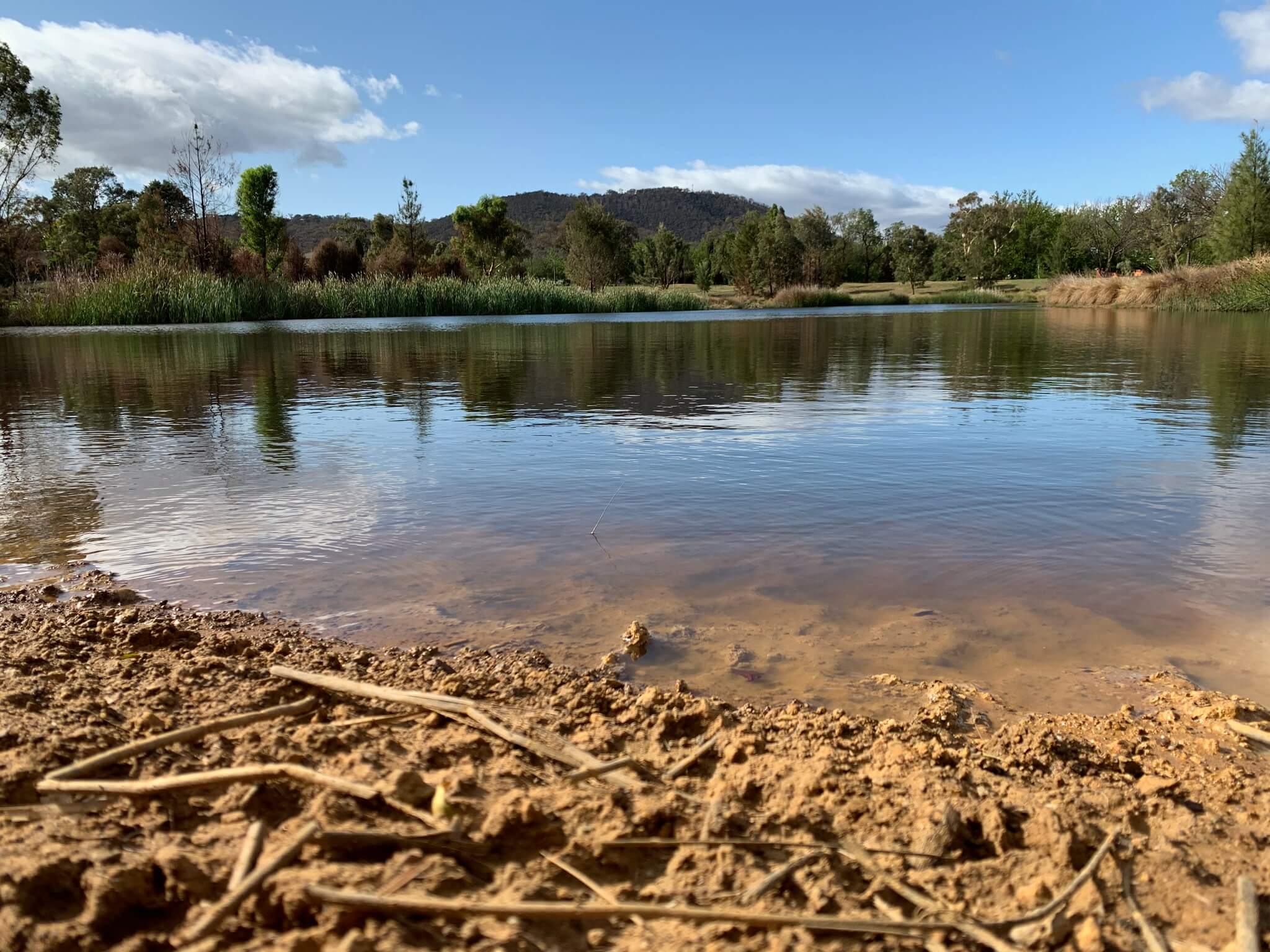 Canberra region wetlands