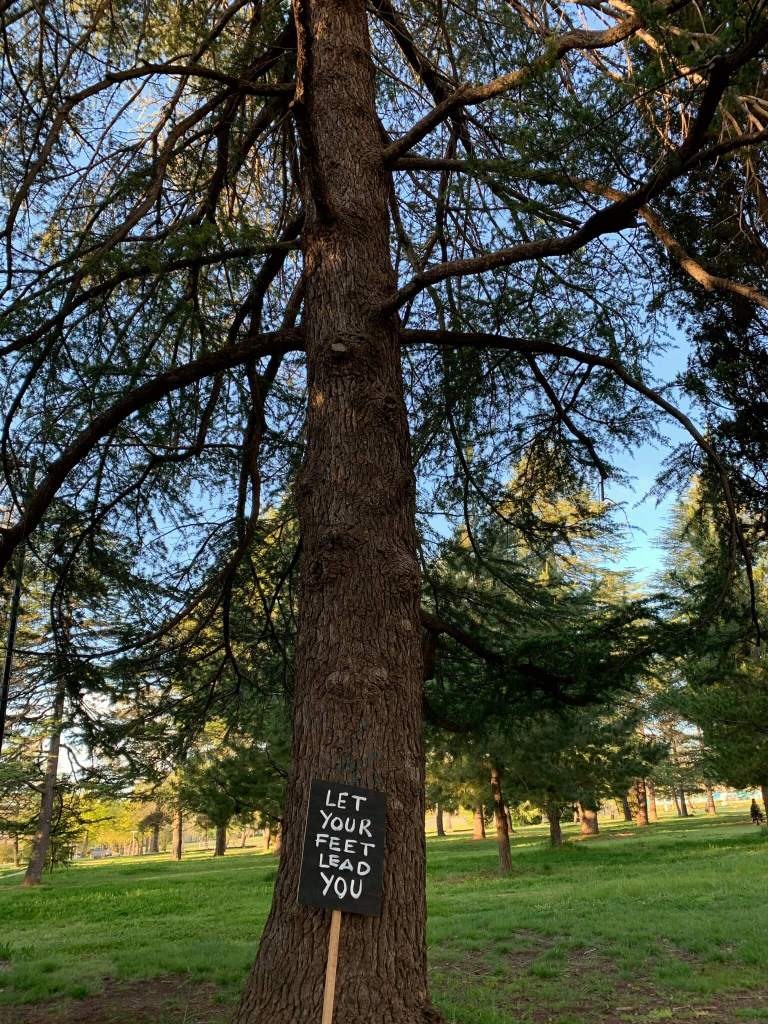 Walk in the park, spring day in Canberra