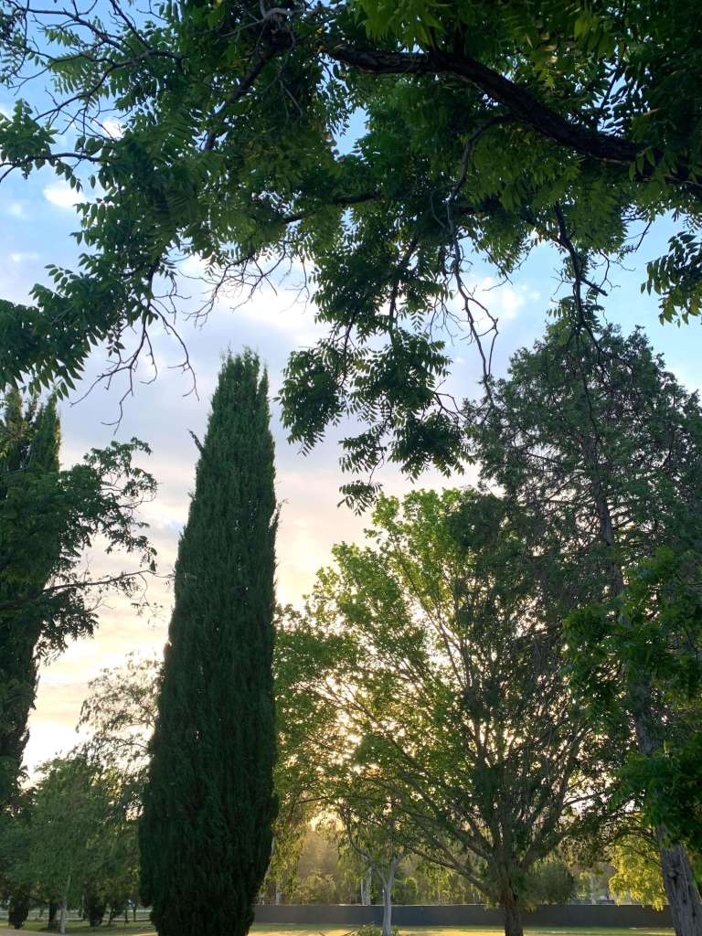 Summer sunset, Canberra