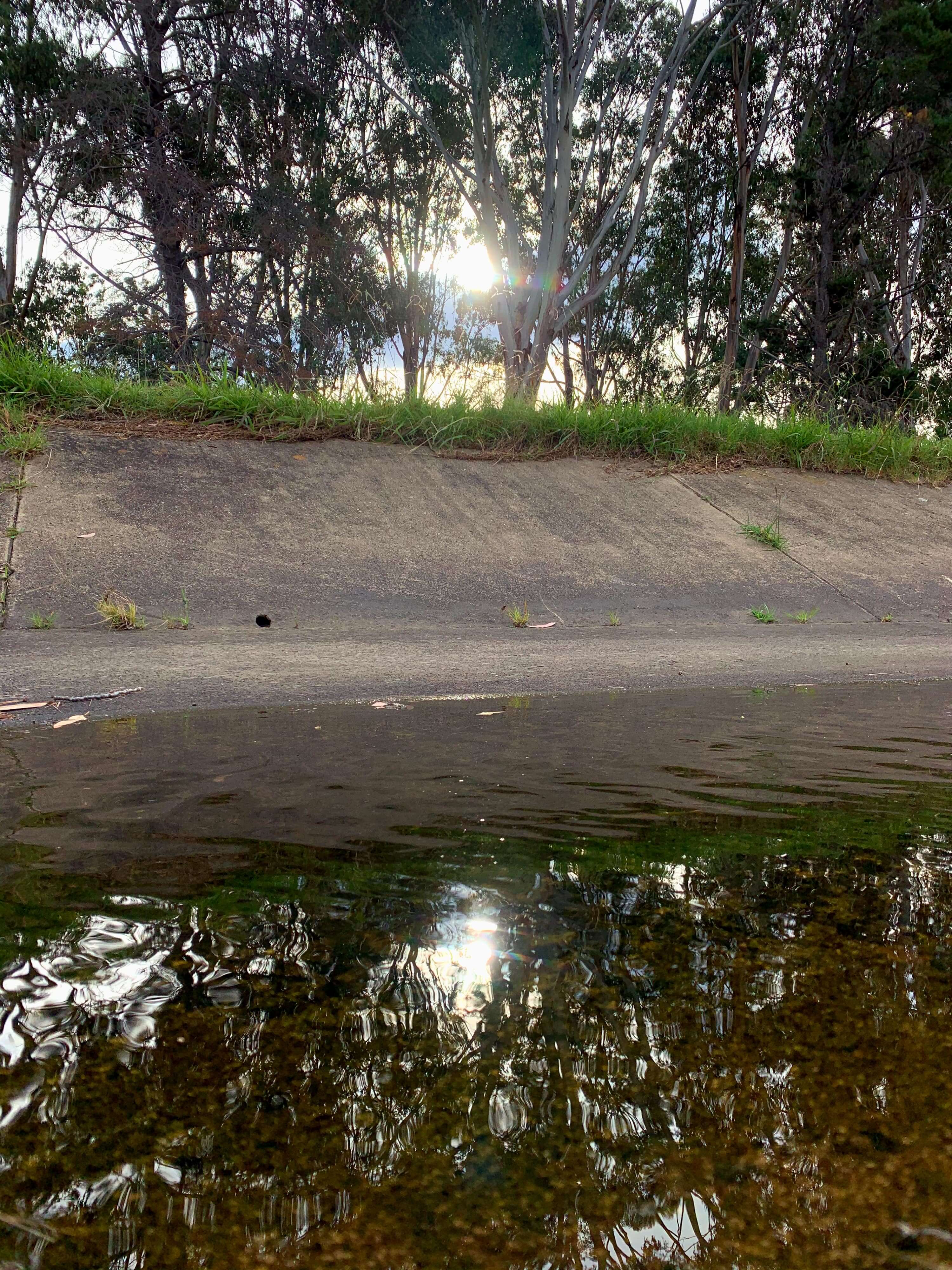 Sunset reflecting on a stream