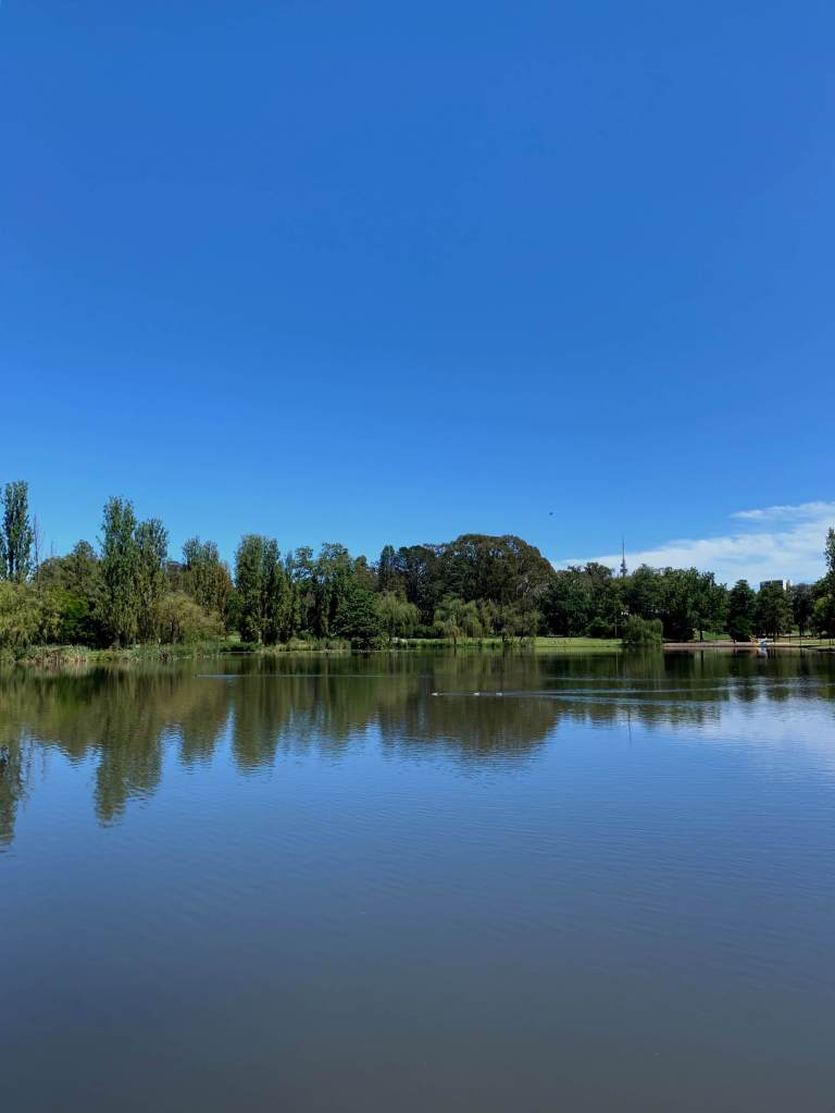 Trees and the landscape reflected on the Lake Burly Griffin, Canberra