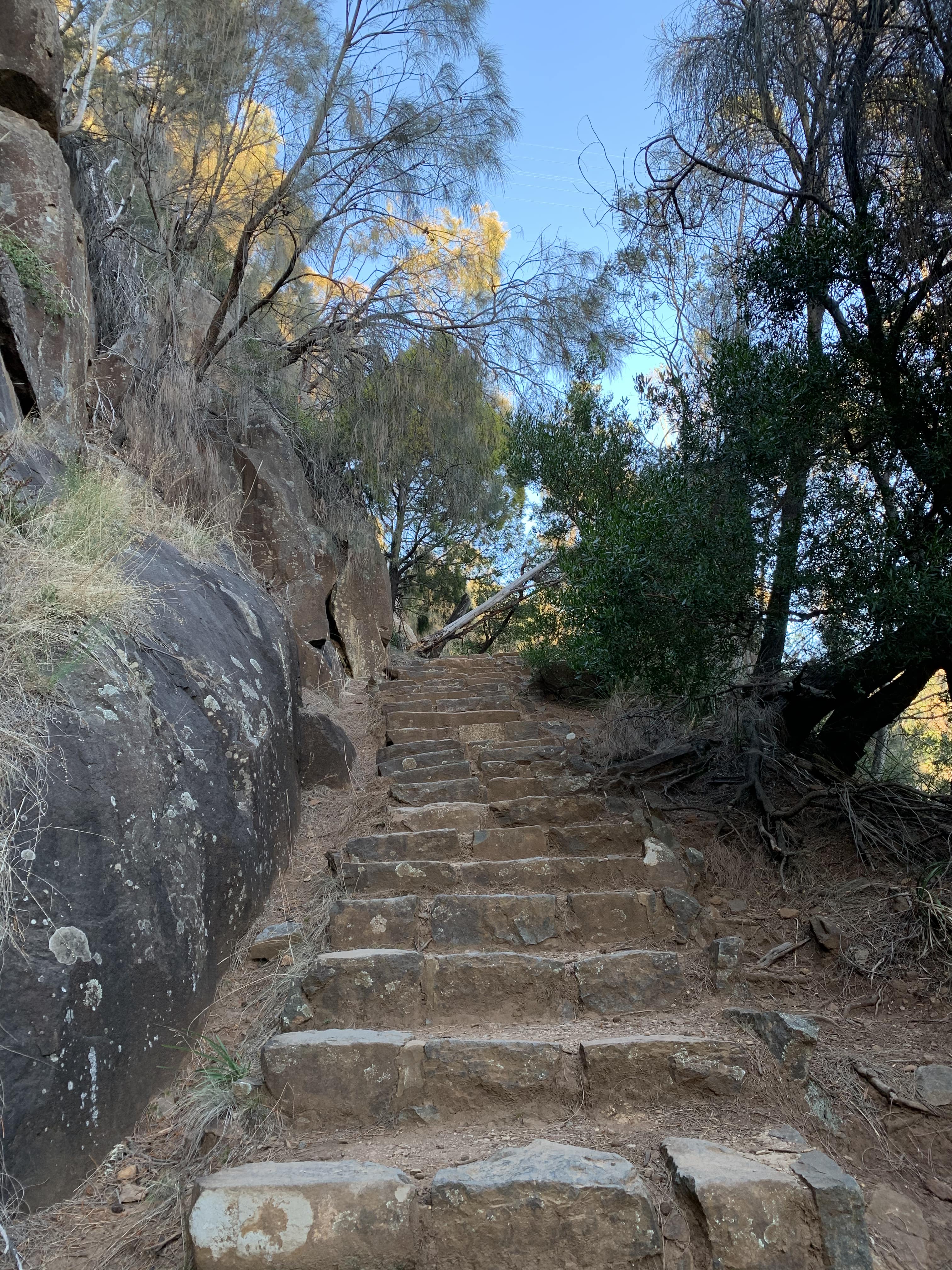 Zig Zag Trail, Launceston, Tasmania