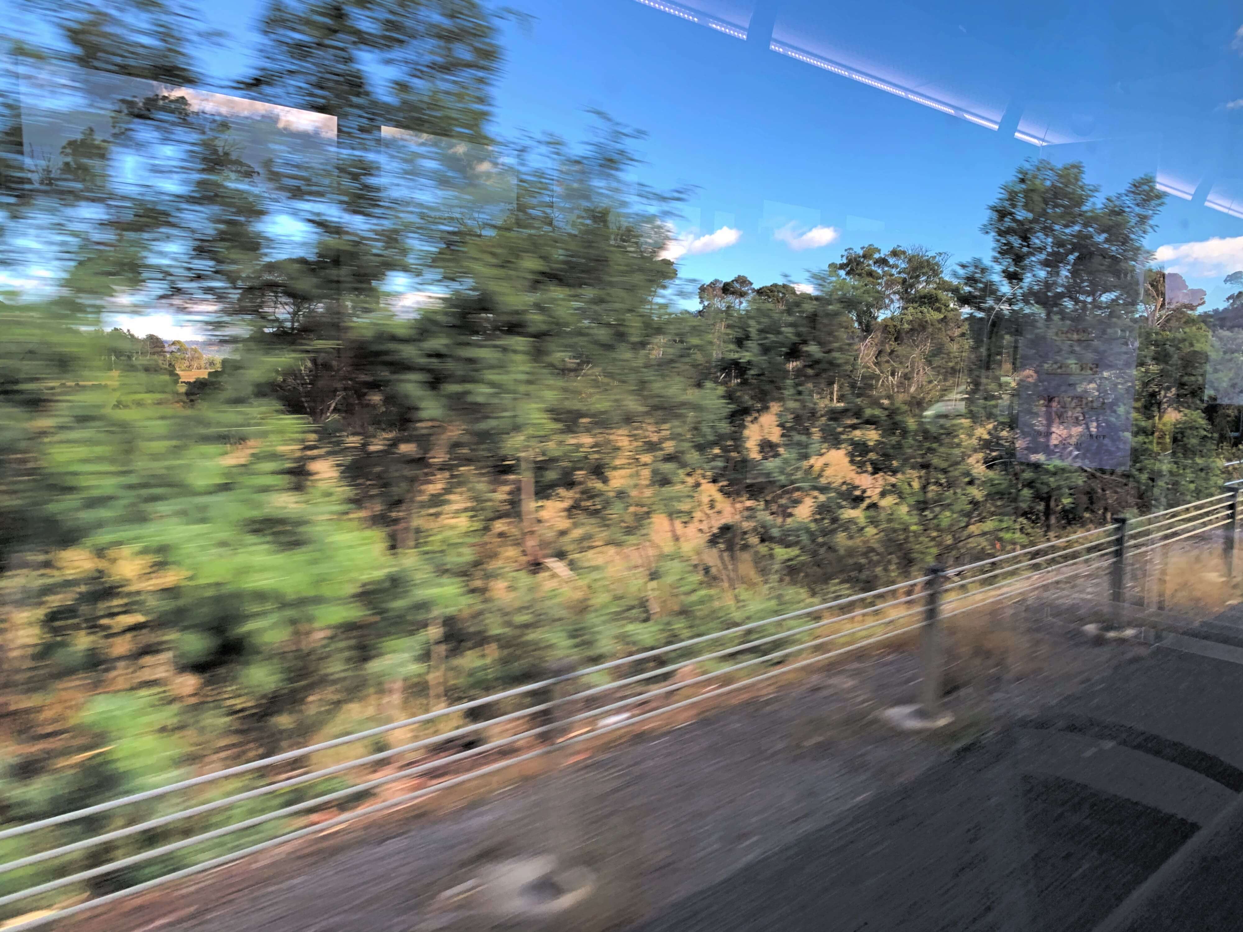 blurry image of trees passing by as seen from inside a moving bus