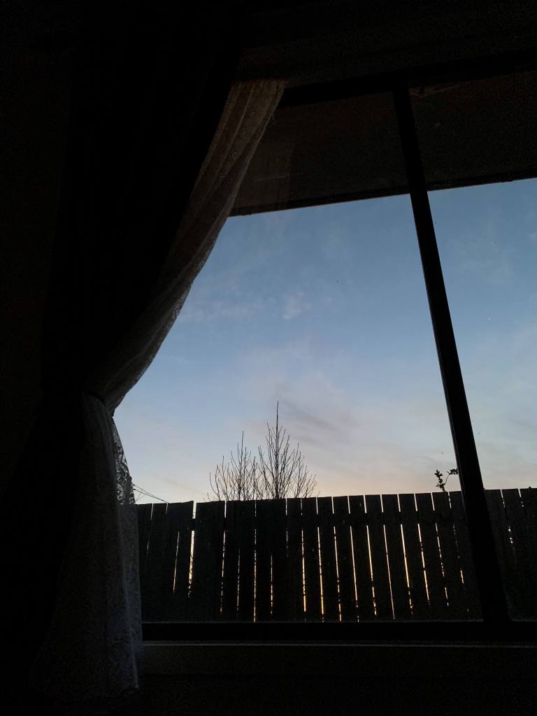 photo of the sky, a tree, and neibour's fence as seen from behind a glass window at dusk