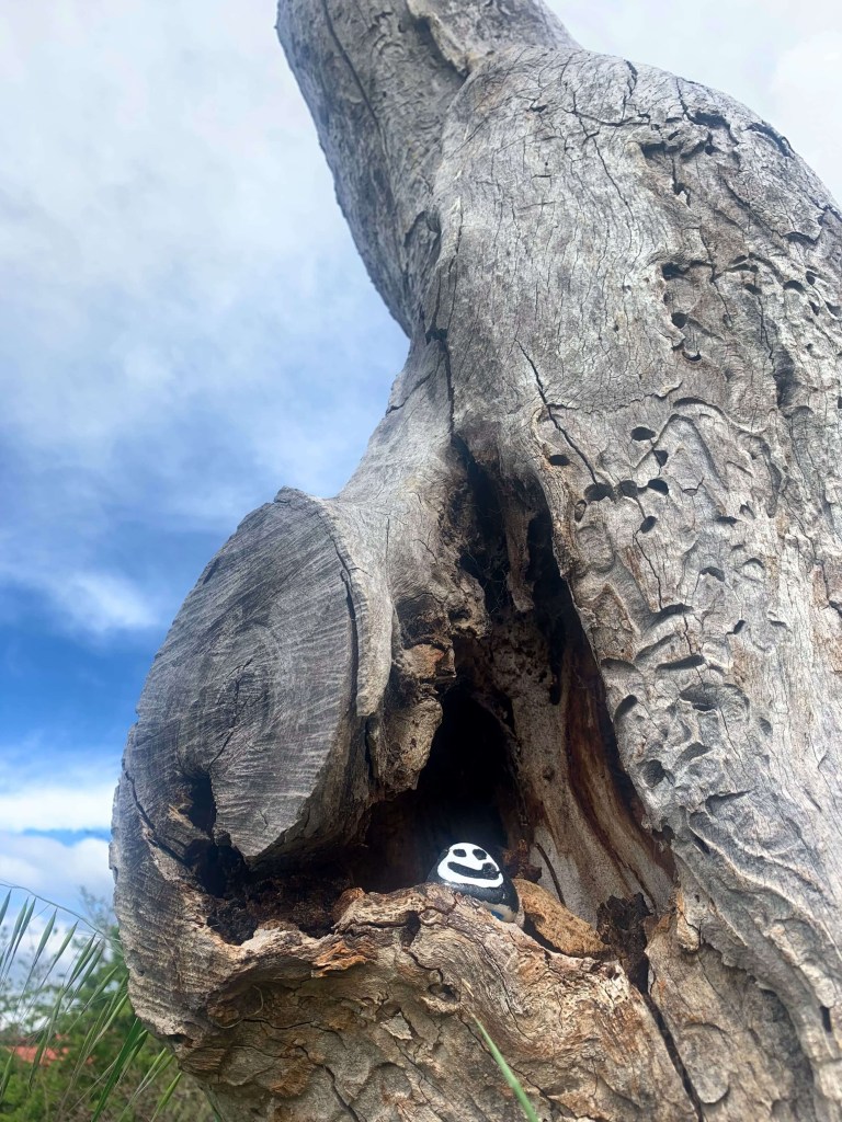 Close up photo of a hole in a tree stump where there’s a small stone with a smiley face drawn on it  