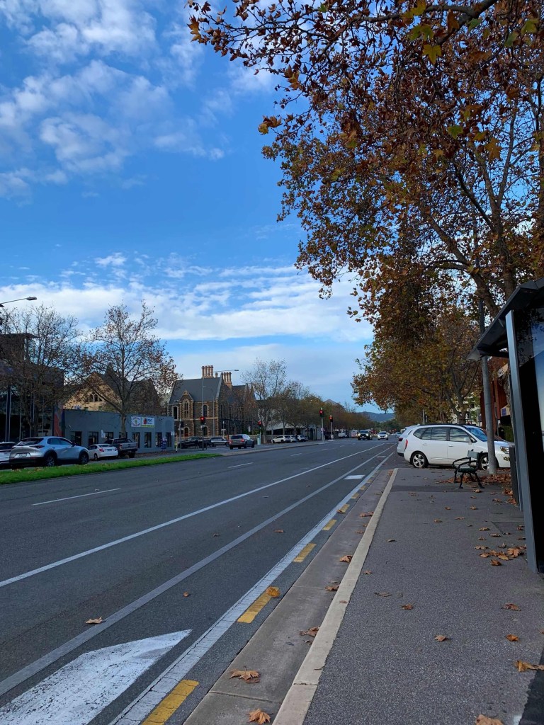 Photo of a road with few vehicles and autumnal trees shedding leaves. 