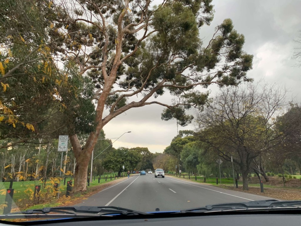 Photo of a long road, with trees on either side, as seen from the front passenger seat of a car. 