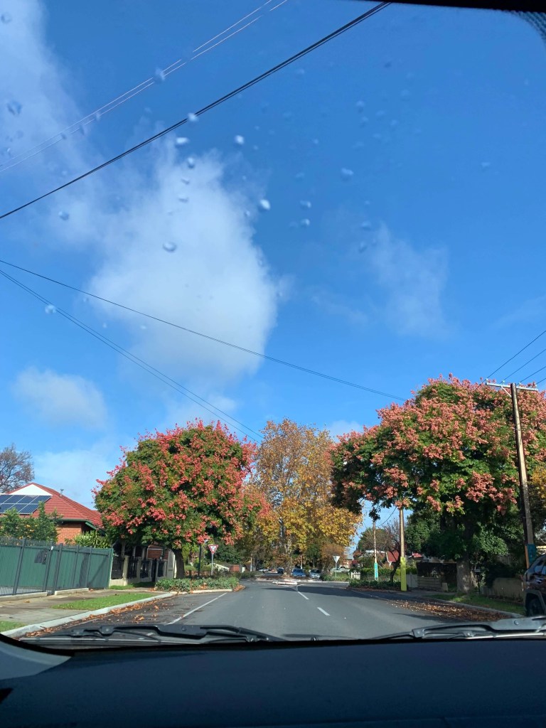 Photo of autumnal colours on trees and raindrops on a car window screen, as seen from the front passenger seat of a car. 