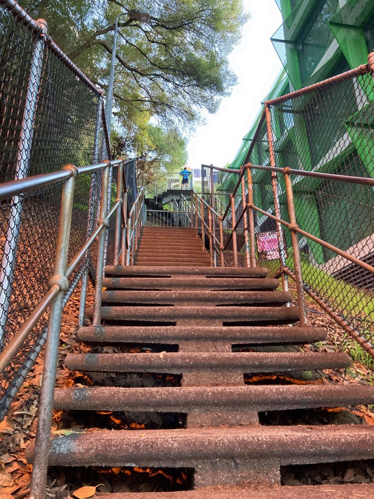 Photo of Jacob’s Ladder stairs in Perth, as seen from the first step. 