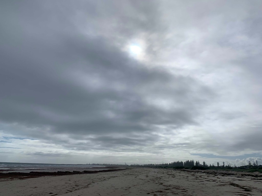 Photo of a cloudy sky, and a row of Norfolk Island pine trees in the far distance, as seen from the beach. 