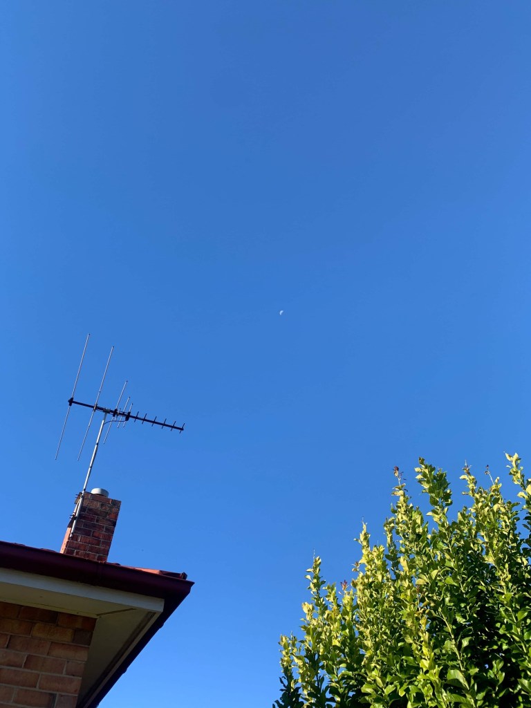 Photo of the waning moon against a clear blue sky, on a winter afternoon. 