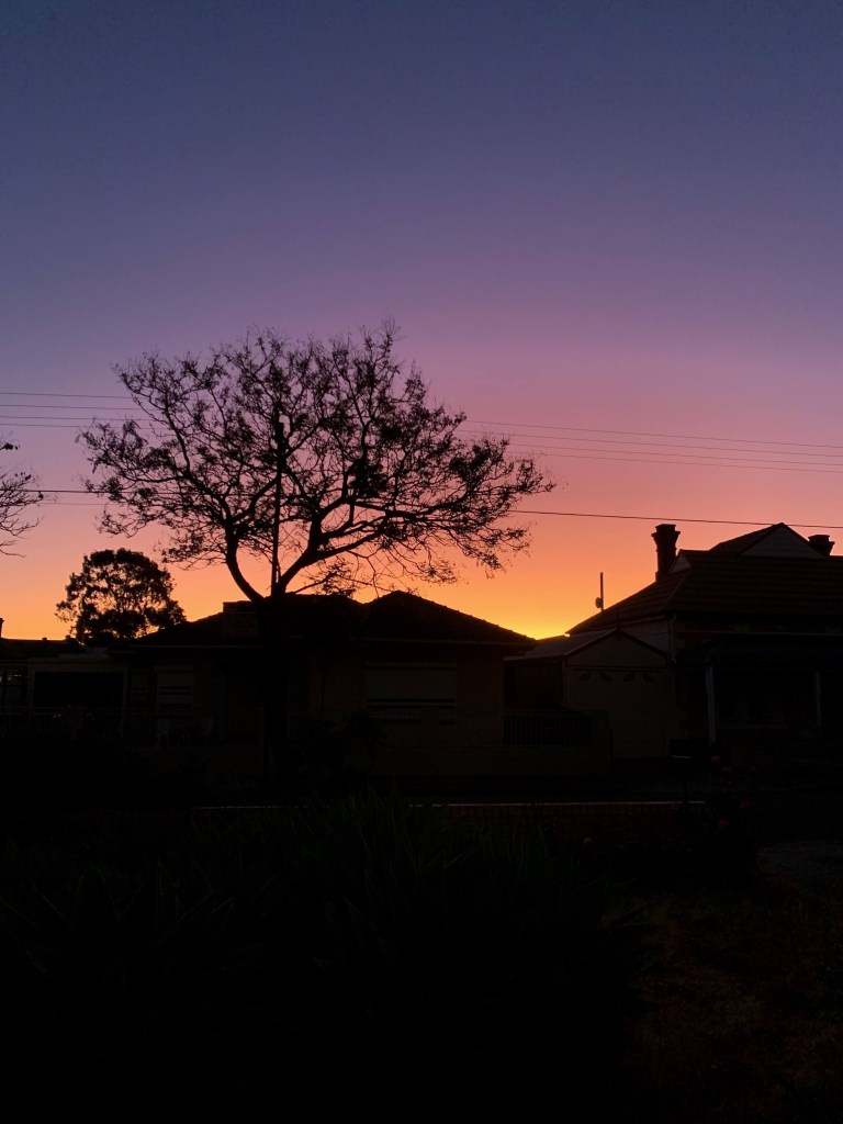 Photo of the summer sunset, with the silhouette of a house and a jacaranda tree in the foreground. 