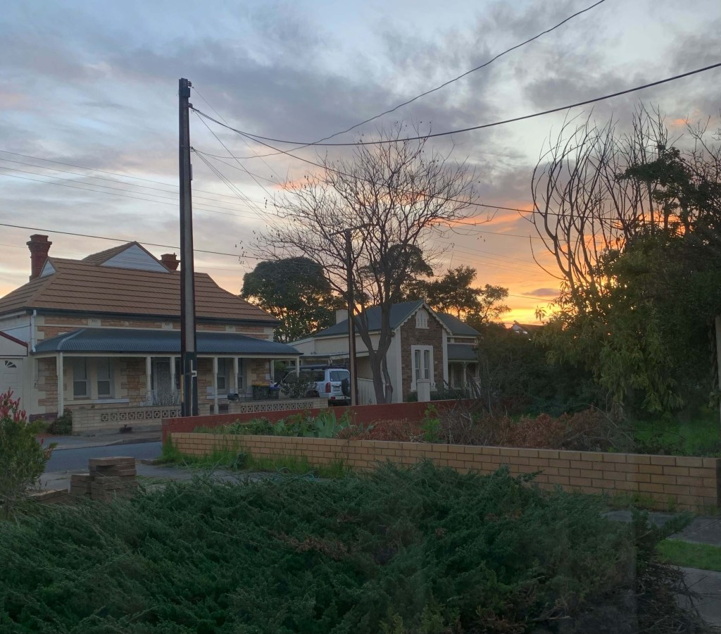 Photo of the sun setting behind a group of trees, as seen through a window. 