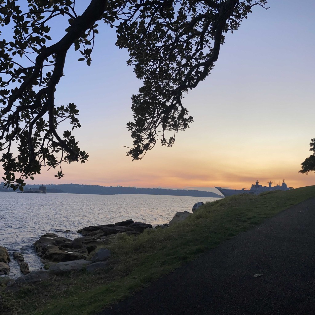 Photo of a ship coming into Sydney harbour at sunrise. 