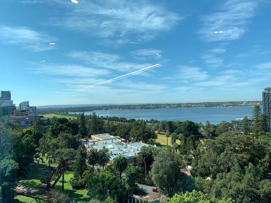 Photo of a low-rise building surrounded by trees, as seen from the top floor of a high-rise building. 