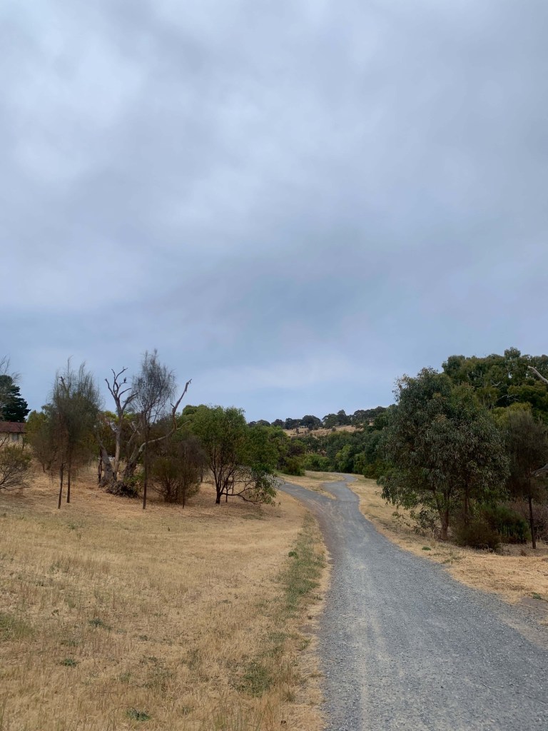 Photo of a gravel path with Australian native trees around the path. 
