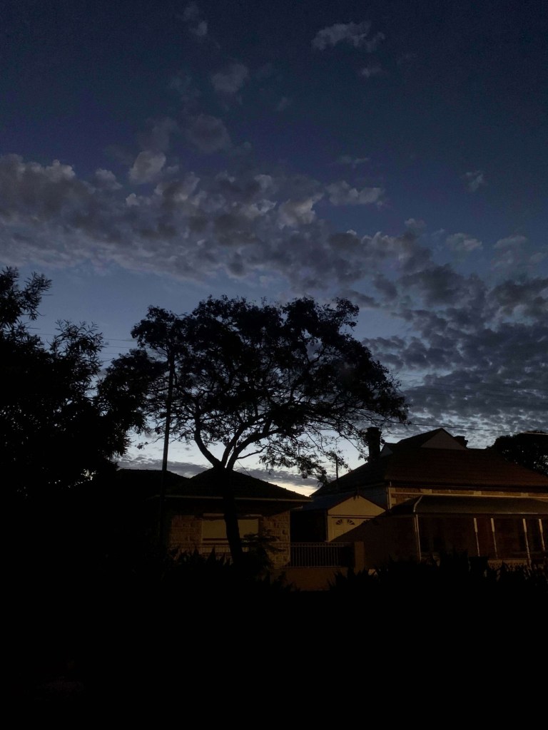 Photo of grey clouds in a bluish sky on a summer night, with the silhouette of a jacaranda in the foreground 