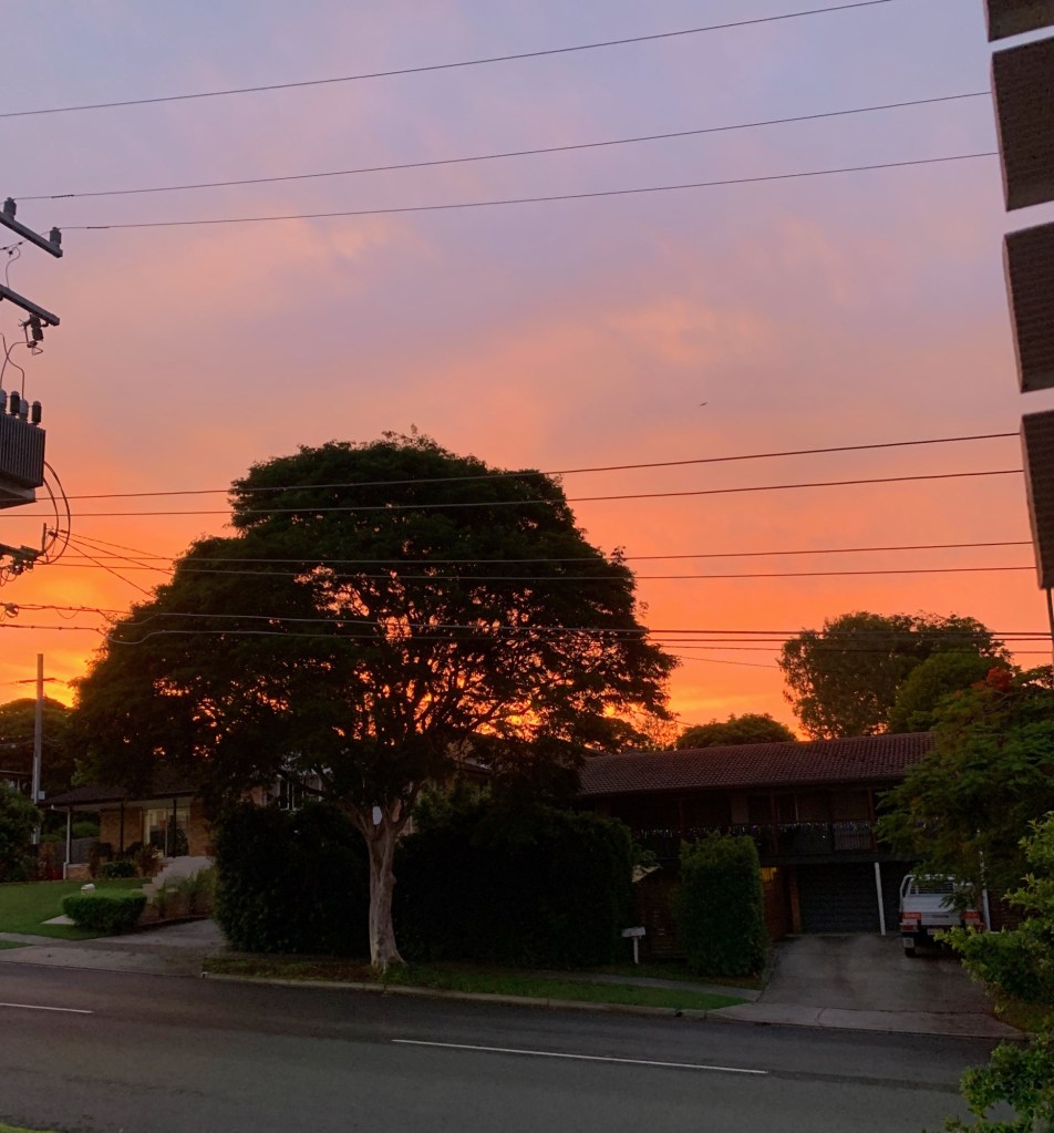 Photo of the deep vibrant orange glow of the sunset behind big trees. 