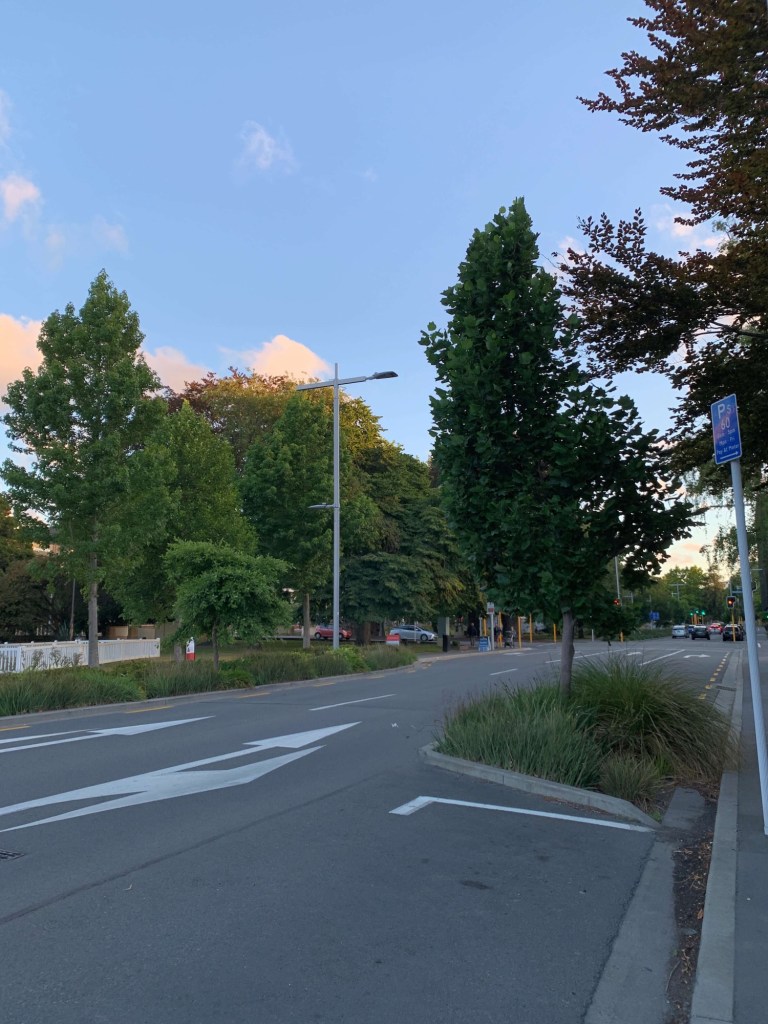 Photo of an empty street in Christchurch on a summer evening, the last dregs of sunset on the tops of still trees. 