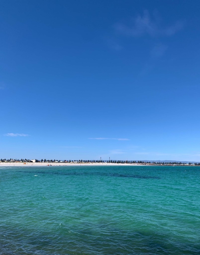 Photo of the beach as seen from the rocks in the middle of the ocean, with pine trees in the distance, lining the coast. 