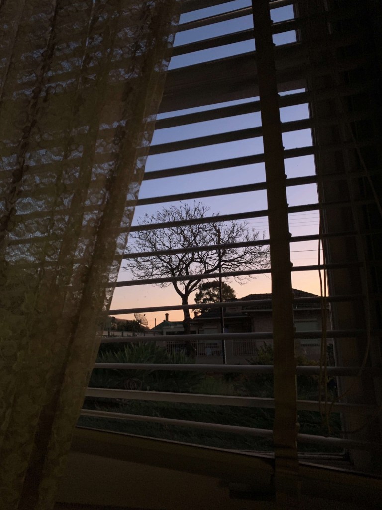Photo of the sunset and the silhouette of a tree, as seen through a set of Venetian blinds. 