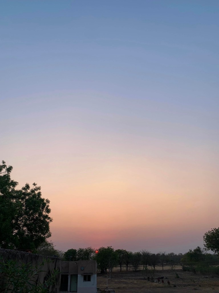 Photo of the pinkish sky and a sliver of the sun setting on the horizon. 