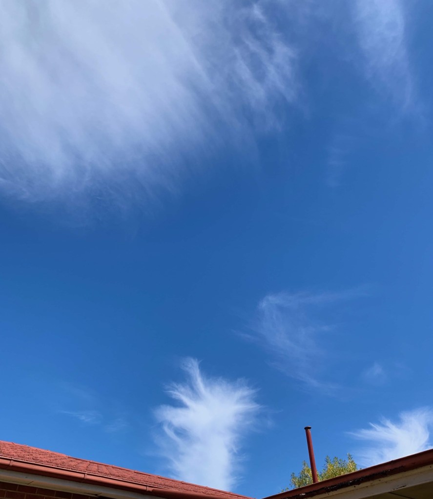 Photo of oddly shaped clouds against a blue sky. 