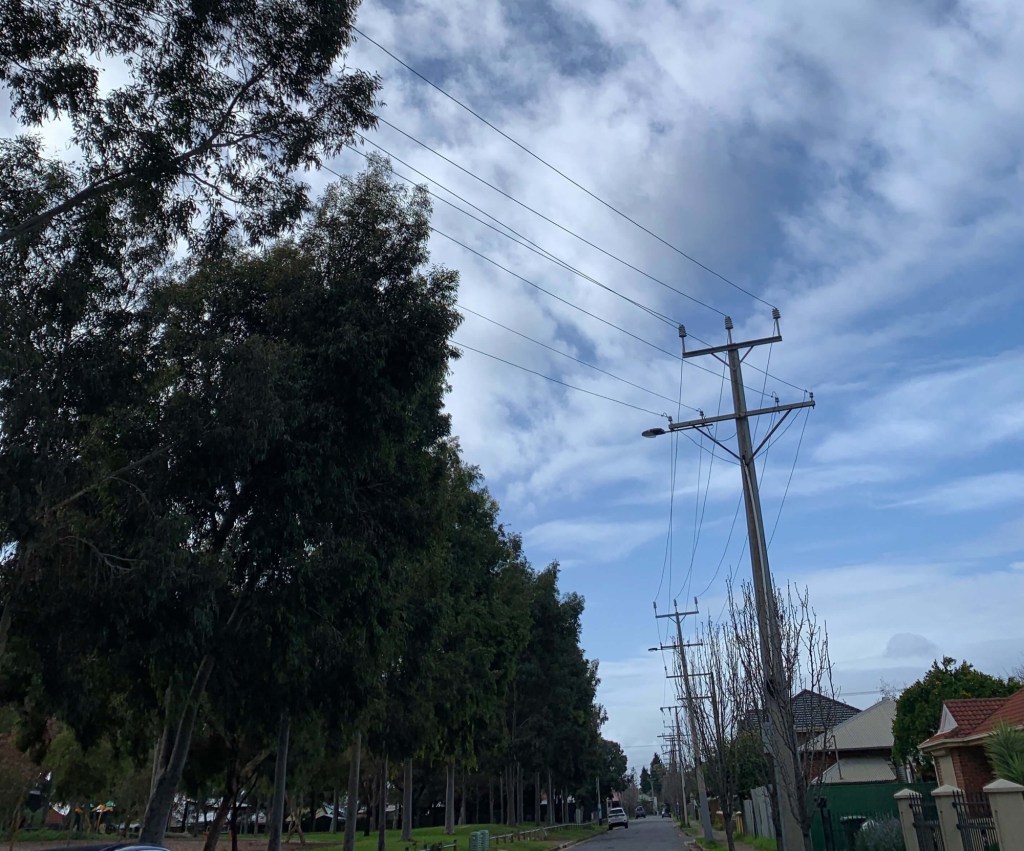 Photo of a suburban road with a line power poles on one side and a row of gum trees on the other. 