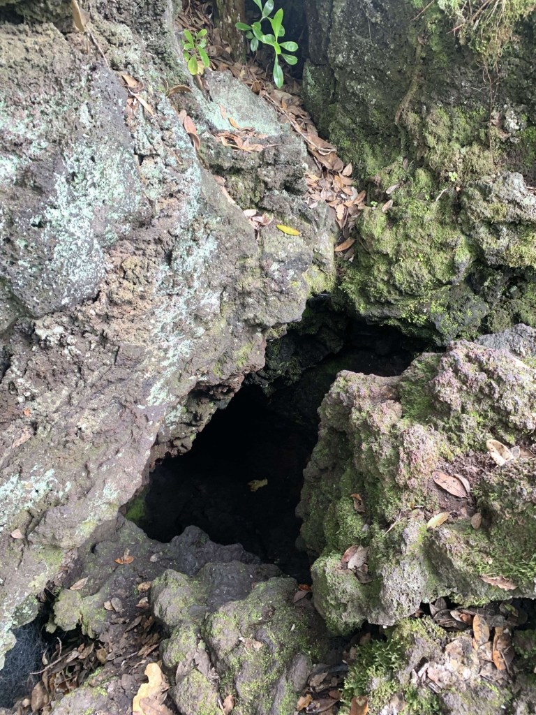 Photo of the mouth of a lava cave in a volcanic island. 