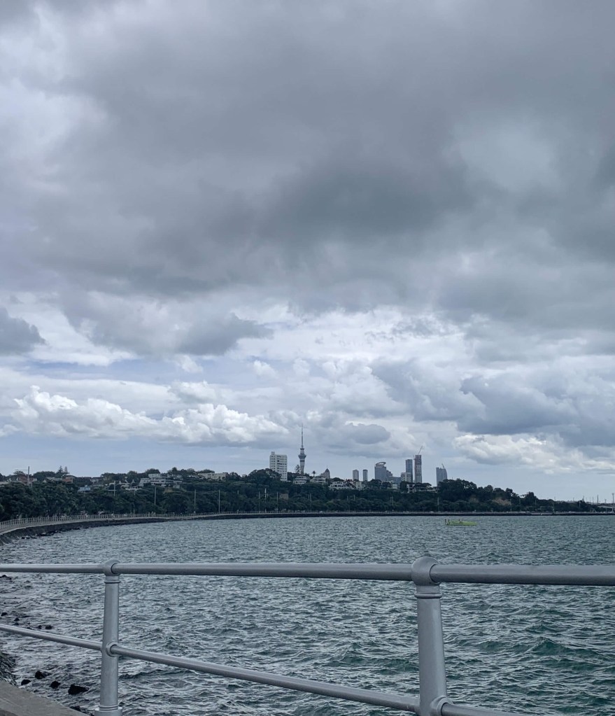 Photo of the Auckland city skyscrapers as seen from the other side of the river. 