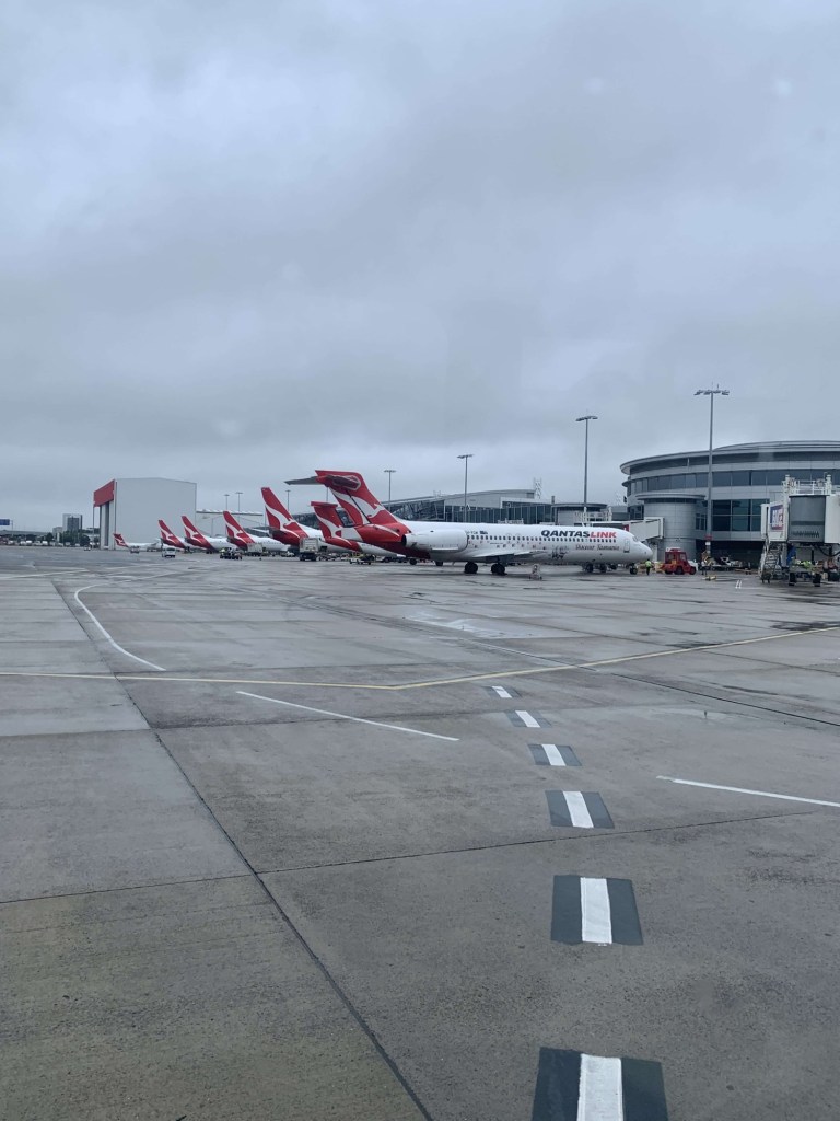 Photo of a row of Qantas airplanes parked on the apron at the airport. 