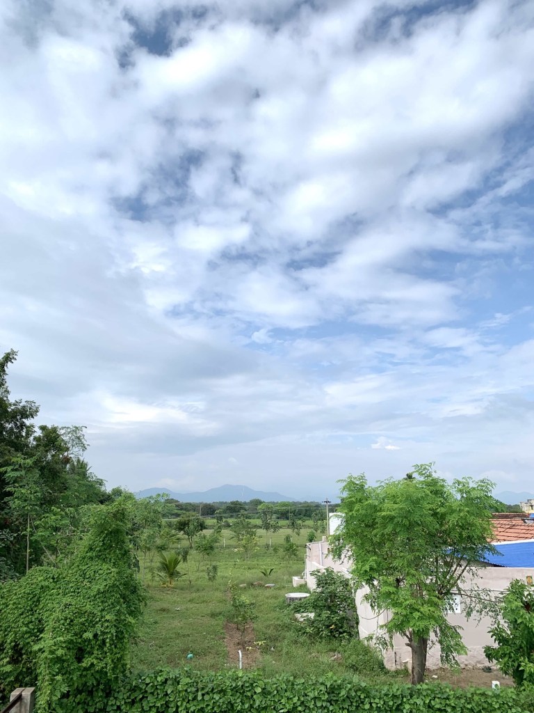 Photo of a mountain range in the distance and lush green fields in the foreground. 