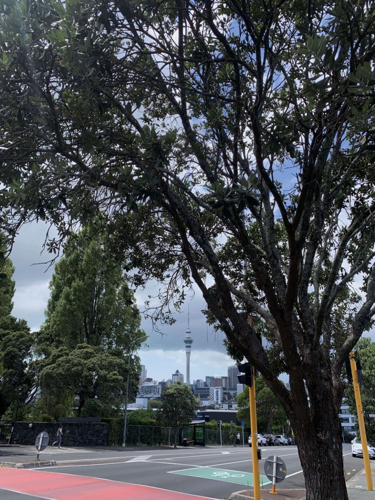 Photo of the Skycity in Auckland as seen through a canopy of trees. 