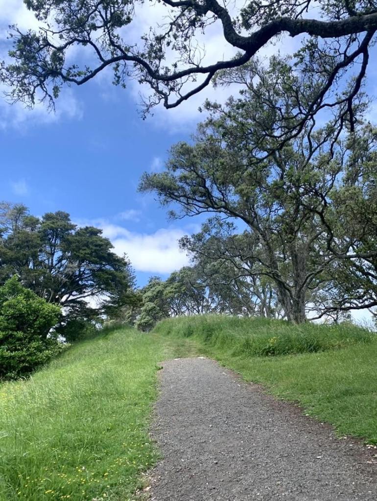 photo of a footpath flanked on either side by greenery and tall trees