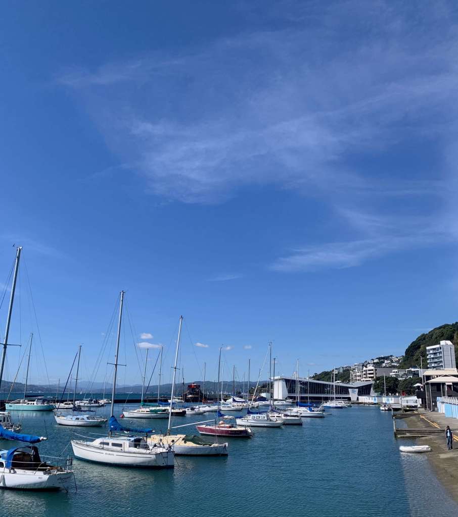 photo of private boats by the shore in Wellington, New Zealand.