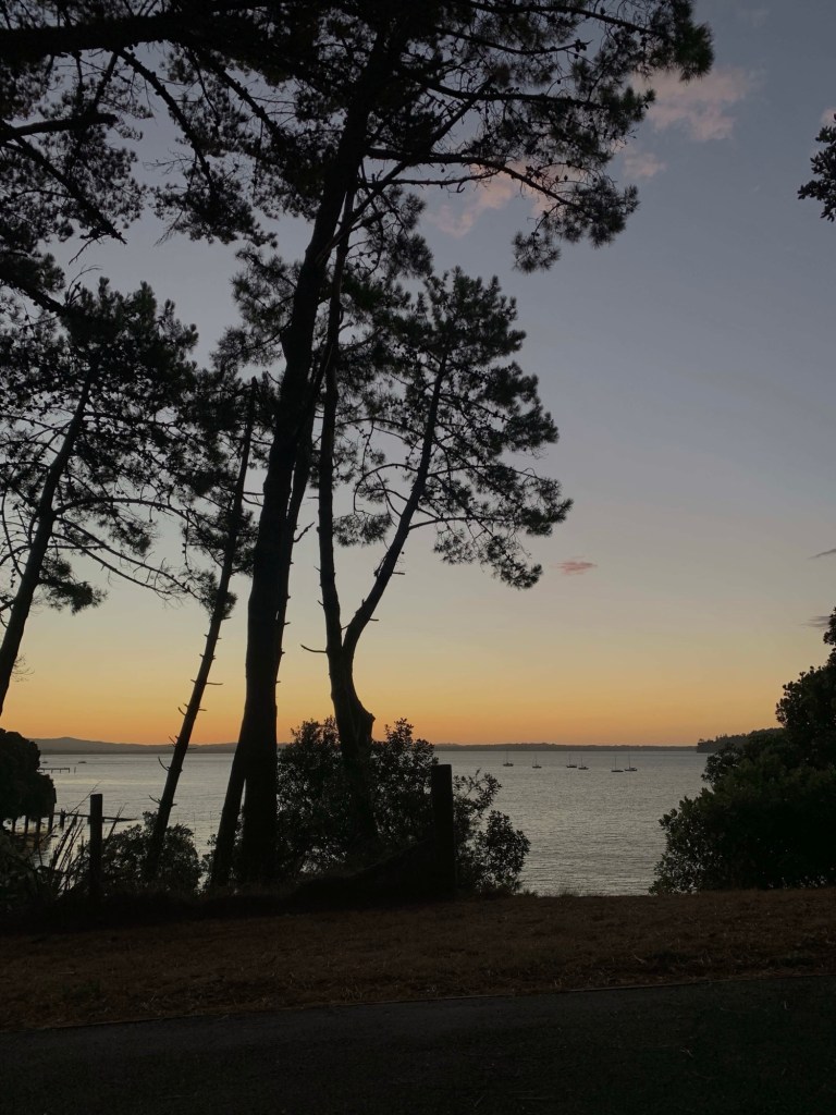 Photo of the sun setting in the horizon and a row of boats sailing on the ocean, as seen from the top of a hill. 