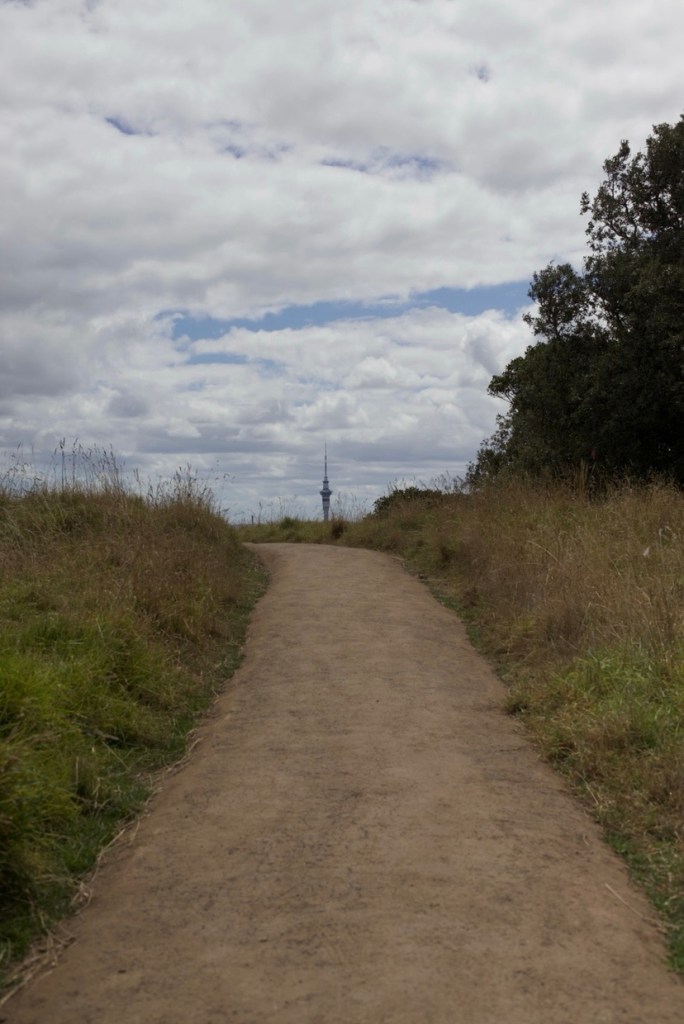 Photo of the top of Skycity in Auckland, as seen while walking down a dirt track on a volcanic hill. 