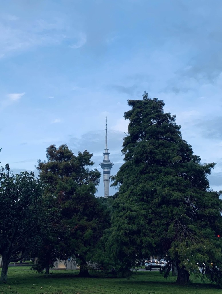 Photo of the Auckland Sky Tower flanked by tree canopy on either side.
