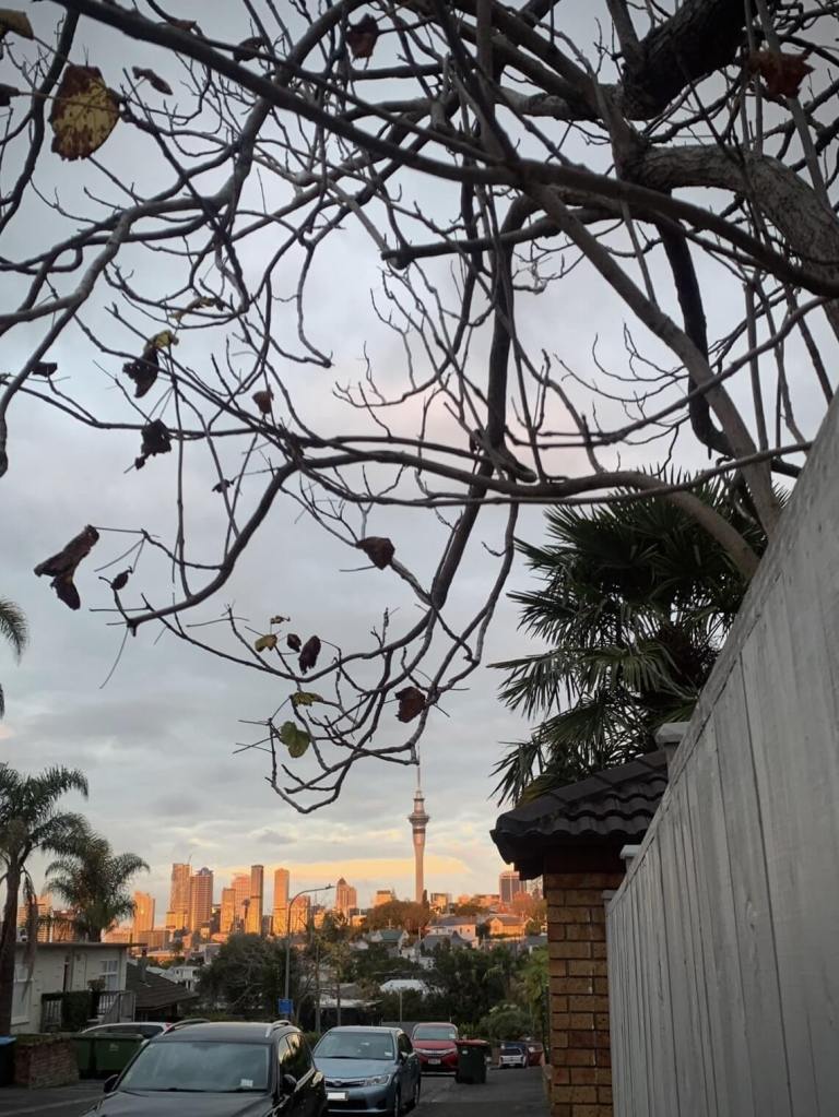 photo of the Auckland sky scape lit up by the sunset