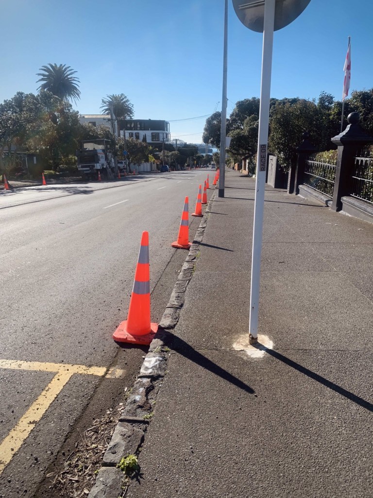 Photo of a row of road cones by the sidewalk. 