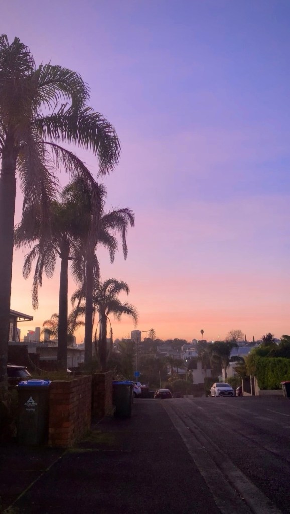 Photo of the pre-sunrise light in the sky. 