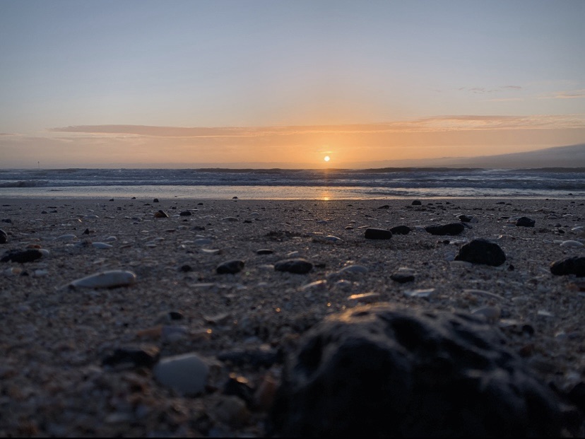 Photo of the sun rising on a winter day, over the beach the sea shells glinting in the light. 