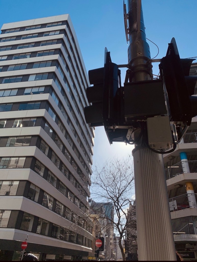Photo of a high rise in Auckland city on the left, a traffic light on the right, and a single leafless tree in between. 