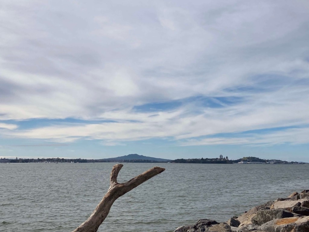 Photo of Rangitoto island as seen from a distance, a tree branch in the foreground putting the distance in perspective.