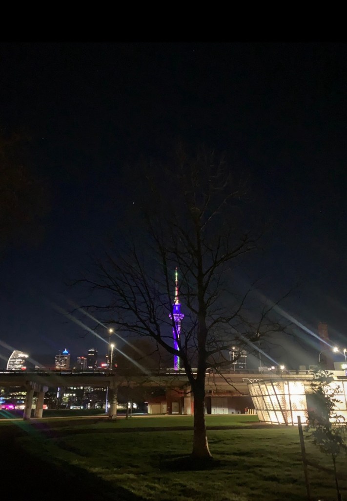 Photo of Auckland’s sky tower as seen through the branches of a leafless tree, well before sunrise in the dark of the morning and under city lights. 