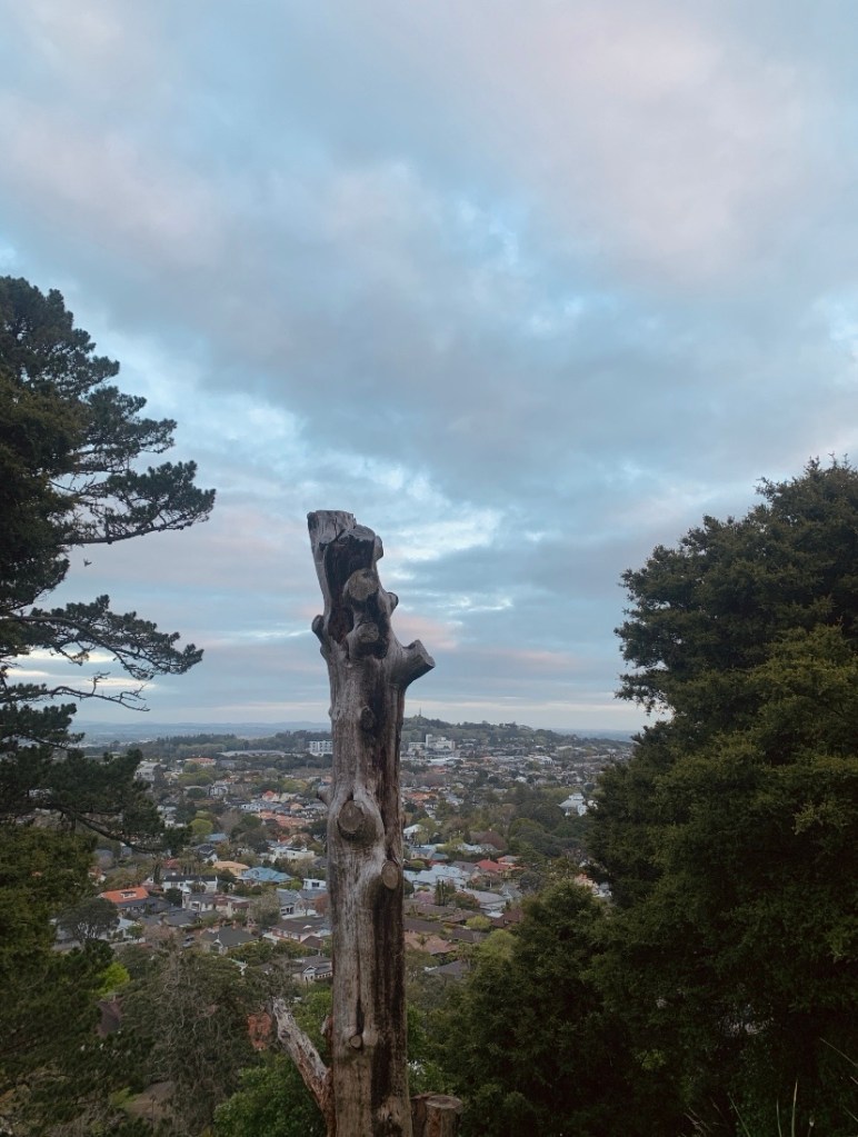 Photo of a giant tree trunk, its branches cut off. 